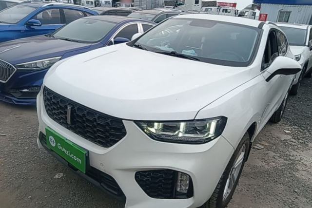 Used Wey VV5 2019 1.5T Two-Wheel Drive Color Pioneer