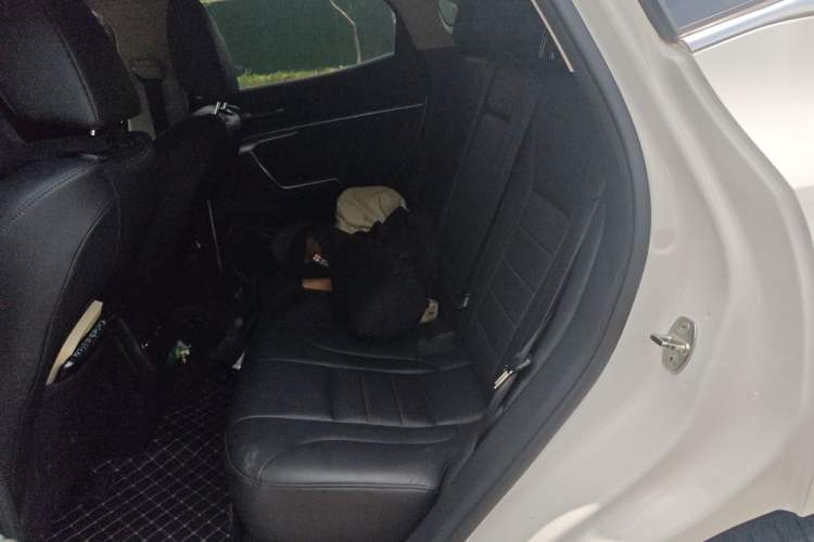 Used Wey VV5 2019 2.0T Two-Wheel-Drive Ultimate Edition Left Rear Seat