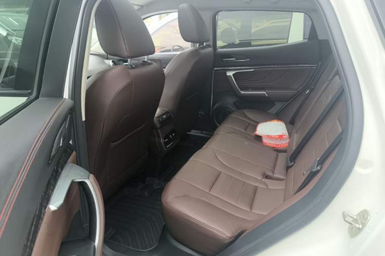 Used Wey VV5 2019 Upgraded Model 2.0T Two-Wheel Drive Ultra-Luxury Version China VI Standard Left Rear Seat