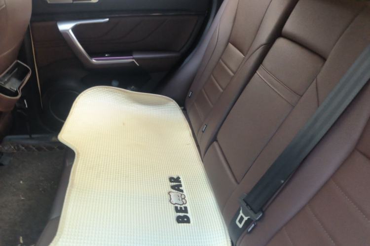 Used Wey VV5 2019 1.5T Two-Wheel Drive Smart Pioneer Left Rear Seat