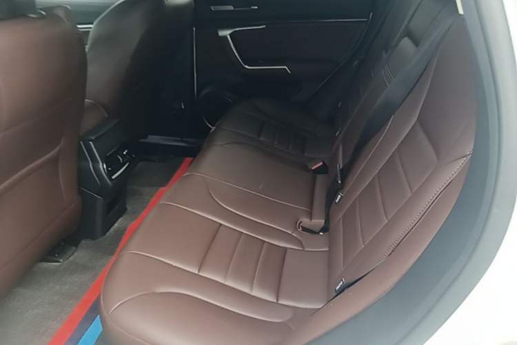 Used Wey VV5 2019 1.5T Two-Wheel Drive Color Pioneer Left Rear Seat