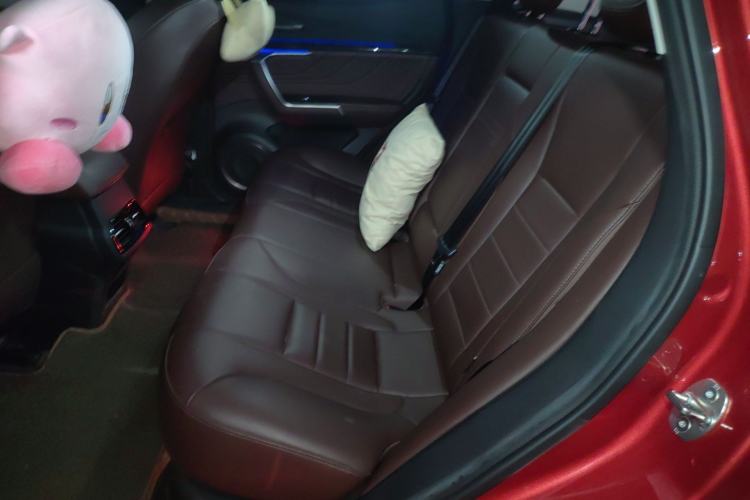 Used Wey VV5 2019 1.5T Two-Wheel Drive Color Pioneer Left Rear Seat