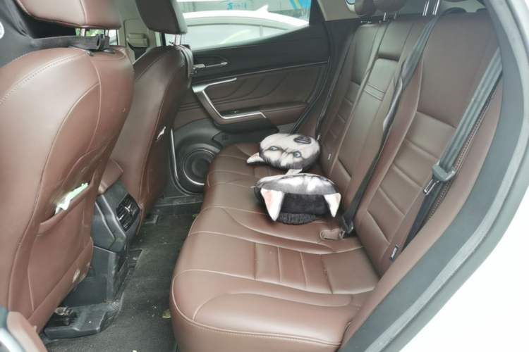 Used Wey VV5 2019 1.5T Two-Wheel Drive Color Pioneer Left Rear Seat