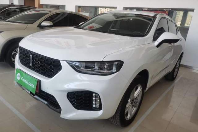 Used Wey VV5 2019 1.5T Two-Wheel Drive Color Pioneer