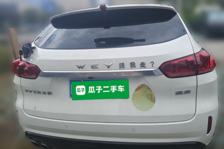 Used Wey VV5 2019 2.0T Two-Wheel-Drive Ultimate Edition Rear