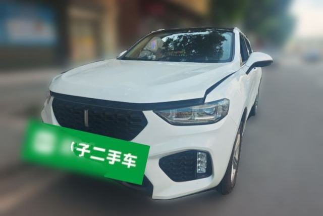 Ojetý Wey VV5 2019 1.5T Two-Wheel Drive Color Pioneer