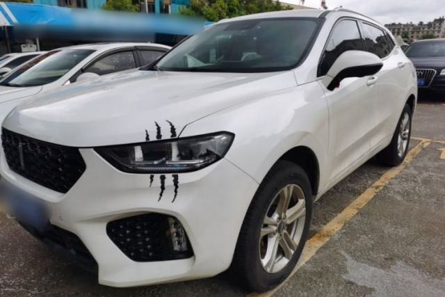 Used Wey VV5 2019 1.5T Two-Wheel Drive Color Pioneer