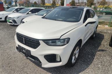 Used Wey VV5 2019 1.5T Two-Wheel Drive Color Pioneer