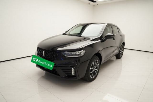 Used Wey VV5 2020 1.5T Two-Wheel Drive Smart Pioneer