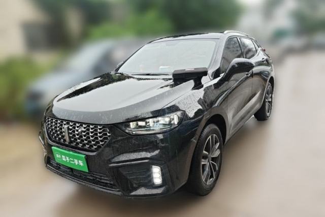 Used Wey VV5 2020 1.5T Two-Wheel Drive Color Pioneer