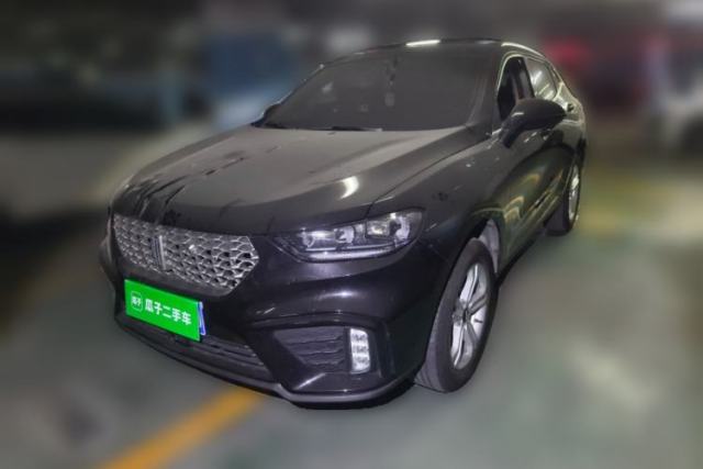 Used Wey VV5 2020 1.5T Two-Wheel Drive Color Pioneer