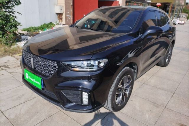 Used Wey VV5 2020 1.5T Two-Wheel Drive Color Pioneer