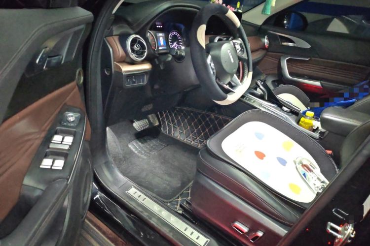 Used Wey VV5 2020 1.5T Two-Wheel Drive Color Pioneer Driver Seat
