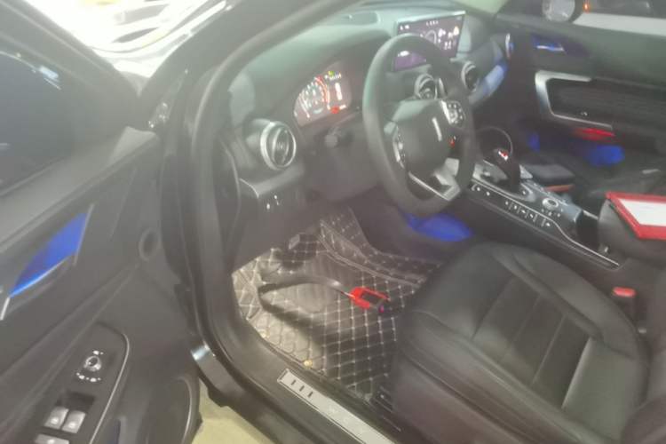 Used Wey VV5 2020 1.5T Two-Wheel Drive Smart Pioneer Driver Seat