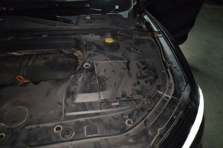 Used Wey VV5 2020 1.5T Two-Wheel Drive Color Pioneer Engine Bay Left