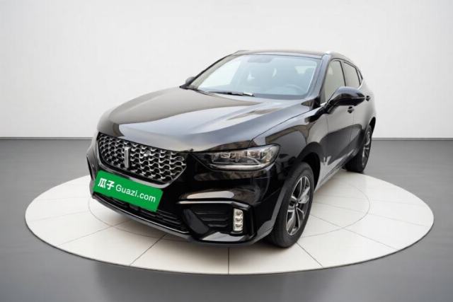Used Wey VV5 2020 1.5T Two-Wheel Drive Smart Pioneer