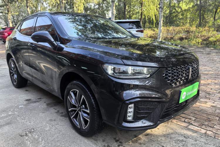 Used Wey VV5 2020 1.5T Two-Wheel Drive Smart Pioneer Exterior 2