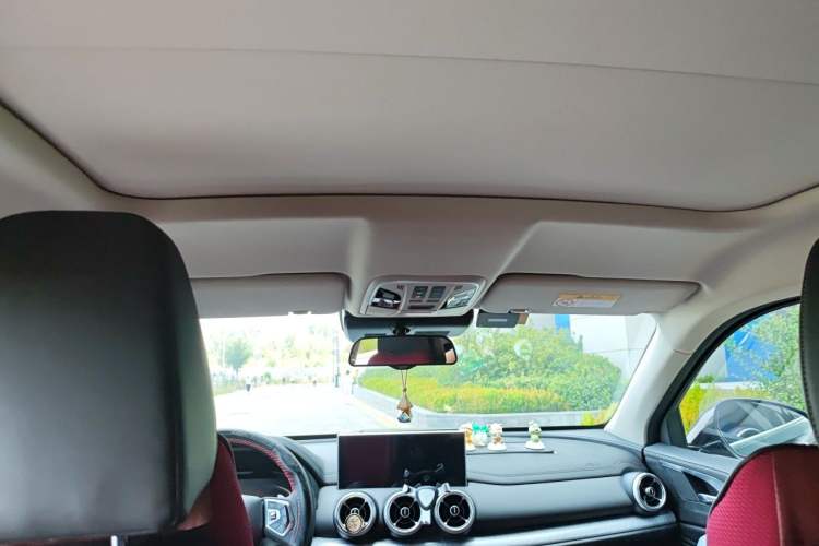 Used Wey VV5 2020 1.5T Two-Wheel Drive Smart Pioneer Headliner
