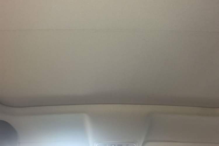 Used Wey VV5 2020 1.5T Two-Wheel Drive Smart Pioneer Headliner