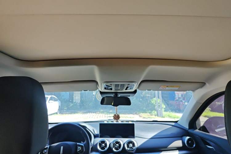 Used Wey VV5 2020 1.5T Two-Wheel Drive Smart Pioneer Headliner