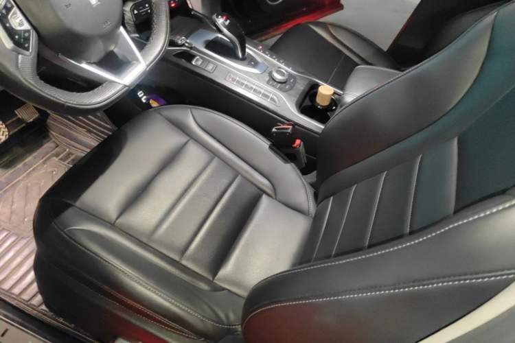 Used Wey VV5 2020 1.5T Two-Wheel Drive Color Pioneer Left Front Seat