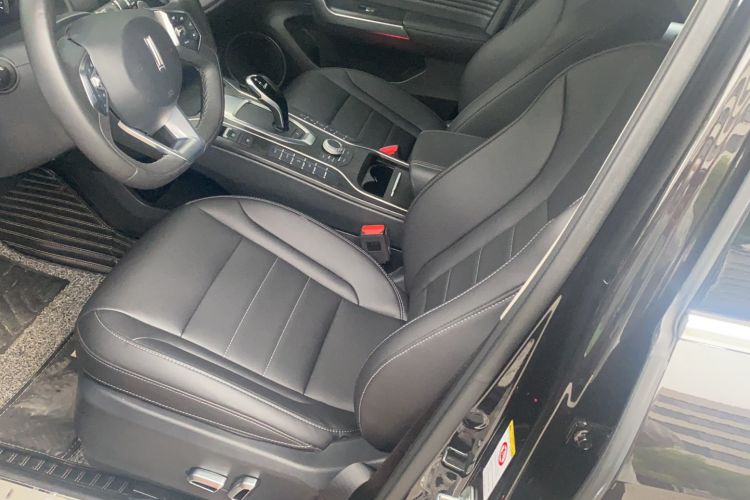 Used Wey VV5 2020 1.5T Two-Wheel Drive Color Pioneer Left Front Seat