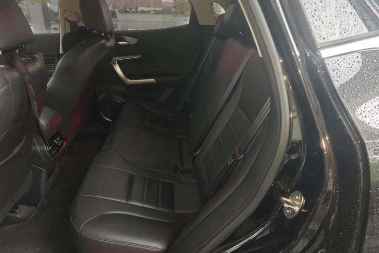 Used Wey VV5 2020 1.5T Two-Wheel Drive Color Pioneer Left Rear Seat