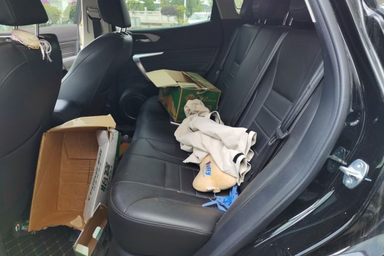 Used Wey VV5 2020 1.5T Two-Wheel Drive Color Pioneer Left Rear Seat