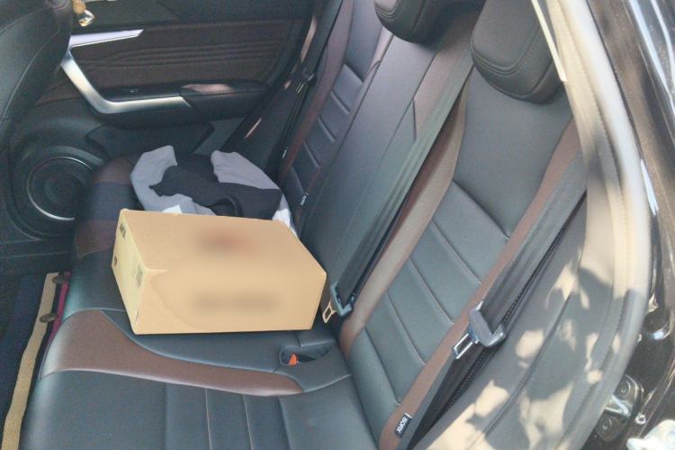 Used Wey VV5 2020 1.5T Two-Wheel Drive Color Pioneer Left Rear Seat