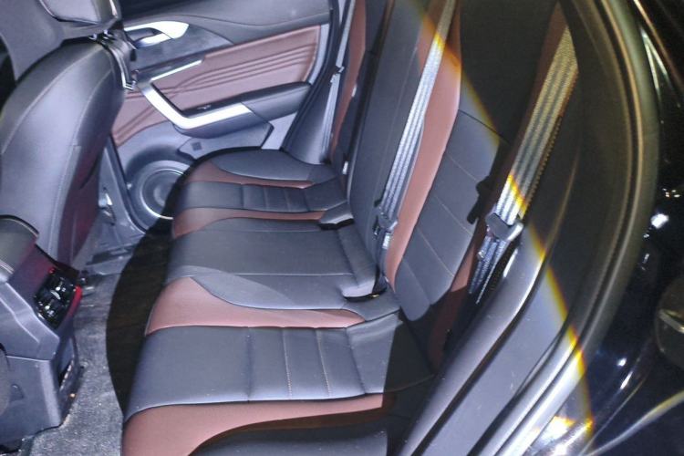 Used Wey VV5 2020 1.5T Two-Wheel Drive Color Pioneer Left Rear Seat