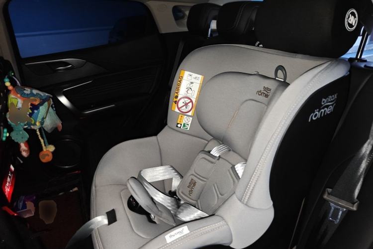Used Wey VV5 2020 1.5T Two-Wheel Drive Smart Pioneer Left Rear Seat