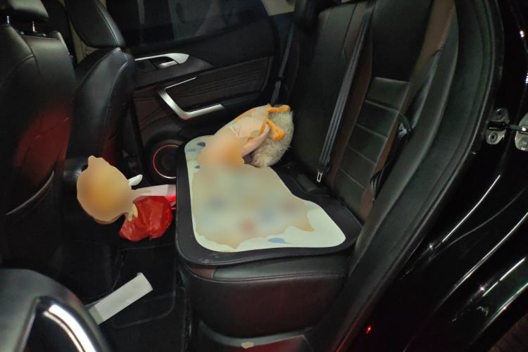 Used Wey VV5 2020 1.5T Two-Wheel Drive Color Pioneer Left Rear Seat