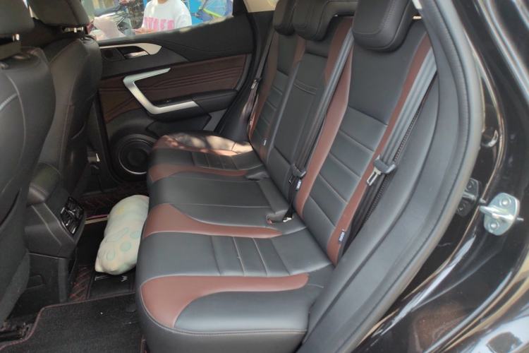 Used Wey VV5 2020 1.5T Two-Wheel Drive Smart Pioneer Left Rear Seat