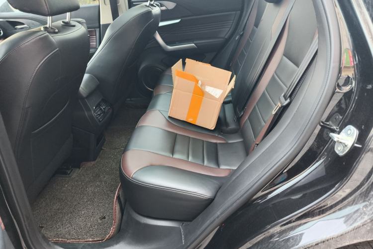 Used Wey VV5 2020 1.5T Two-Wheel Drive Color Pioneer Left Rear Seat
