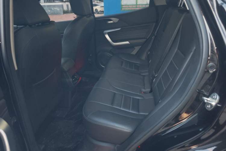 Used Wey VV5 2020 1.5T Two-Wheel Drive Color Pioneer Left Rear Seat