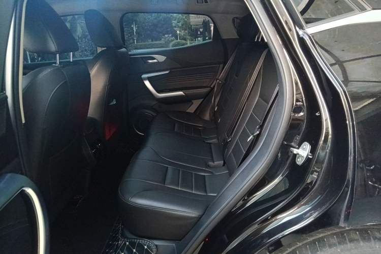 Used Wey VV5 2020 1.5T Two-Wheel Drive Color Pioneer Left Rear Seat