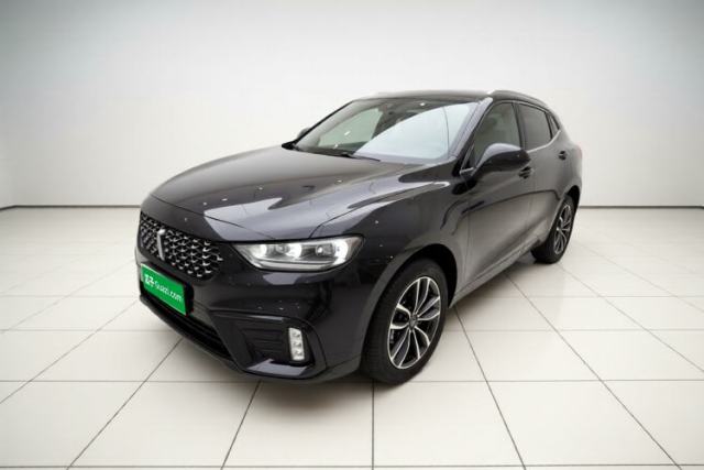 Used Wey VV5 2020 1.5T Two-Wheel Drive Color Pioneer
