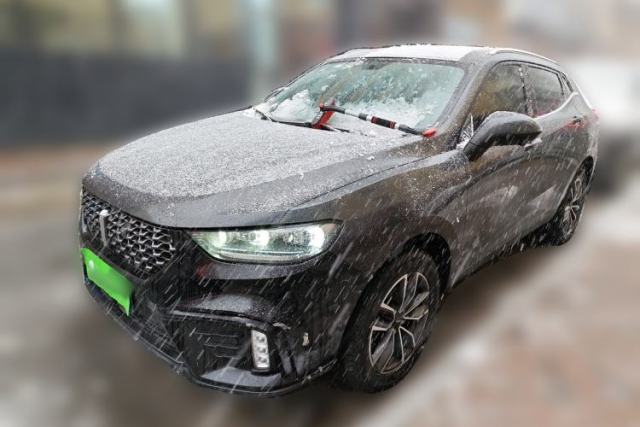 Used Wey VV5 2020 1.5T Two-Wheel Drive Color Pioneer