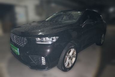 Used Wey VV5 2020 1.5T Two-Wheel Drive Color Pioneer