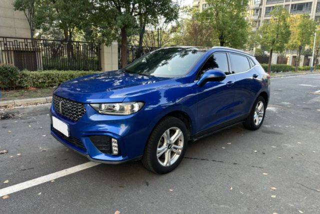 Used Wey VV5 2020 1.5T Two-Wheel Drive Color Pioneer