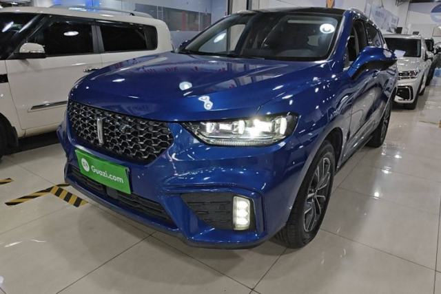 Used Wey VV5 2020 1.5T Two-Wheel Drive Smart Pioneer