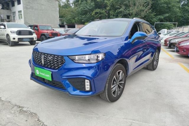Used Wey VV5 2020 1.5T Two-Wheel Drive Color Pioneer
