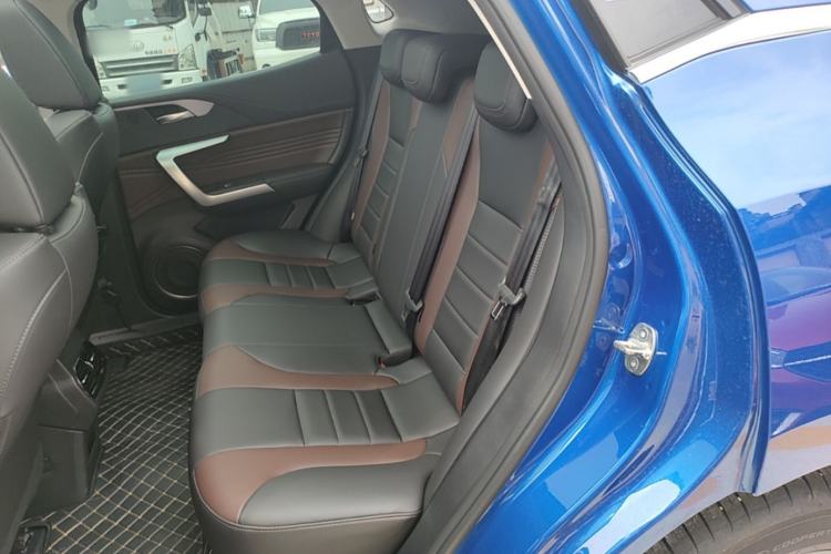 Used Wey VV5 2020 1.5T Two-Wheel Drive Color Pioneer Left Rear Seat