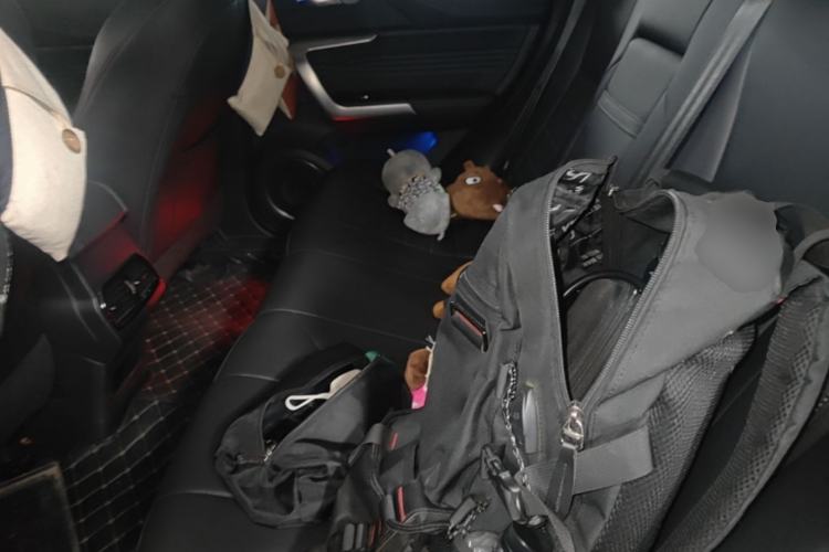 Used Wey VV5 2020 1.5T Two-Wheel Drive Smart Pioneer Left Rear Seat