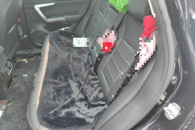 Used Wey VV5 2020 1.5T Two-Wheel Drive Smart Pioneer Left Rear Seat