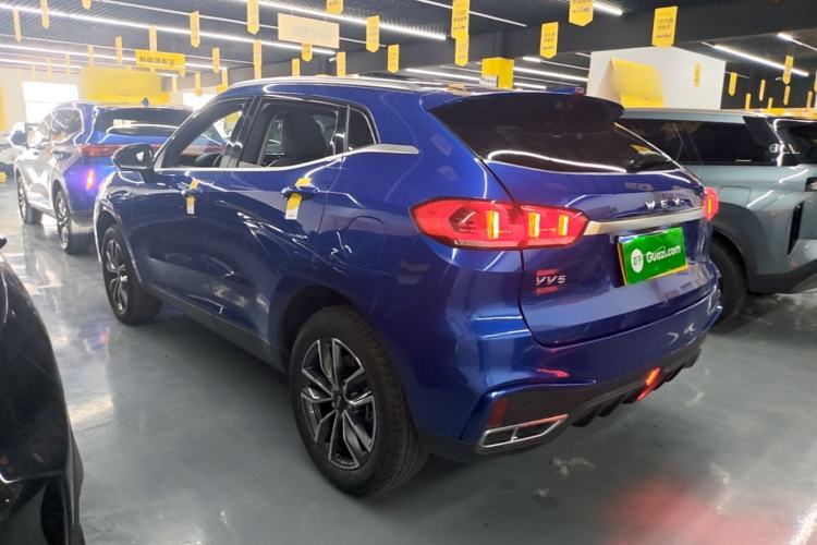 Used Wey VV5 2020 1.5T Two-Wheel Drive Smart Pioneer Rear Left 45 Deg