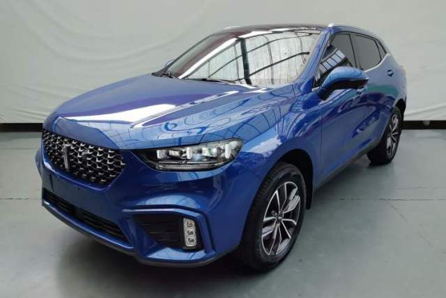 Used Wey VV5 2020 1.5T Two-Wheel Drive Smart Pioneer