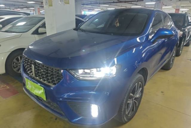 Used Wey VV5 2020 1.5T Two-Wheel Drive Smart Pioneer