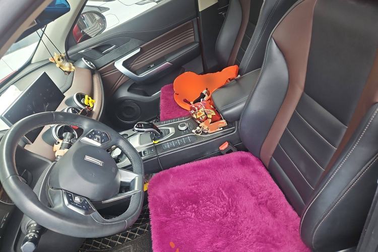 Used Wey VV5 2020 1.5T Two-Wheel Drive Color Pioneer Left Front Seat