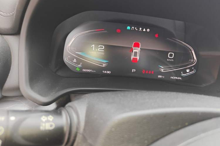 Used Wey VV5 2020 1.5T Two-Wheel Drive Smart Pioneer Odometer Close Up